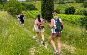 Tuscany walks and Chianti Wines