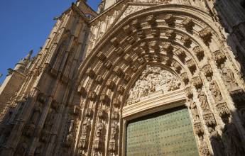 Signature Spain | Light Through Olive Groves