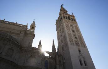 Signature Spain | Light Through Olive Groves