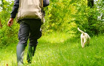 Truffel hunting in Tuscany
