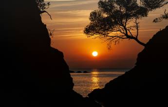 Signature Spain | Catalonia as a Canvas