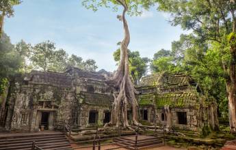 Angkor Ta Prohm Temple