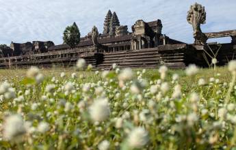 Highlights of Cambodia