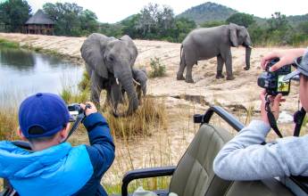 Essential Kruger Safari – Family Adventure