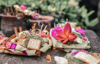 Signature Indonesia | The Sacred Wild Isles