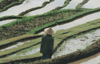 Signature Indonesia | The Sacred Wild Isles