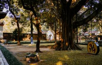 Signature Vietnam | In Fabric & Folklore