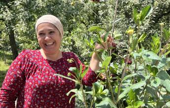 Highlights of Central Asia