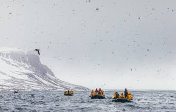 Svalbard in Spring: Sea Ice, Pristine Snow and Wildlife