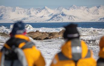 Svalbard in Spring: Sea Ice, Pristine Snow and Wildlife