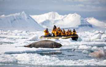 Svalbard in Spring: Sea Ice, Pristine Snow and Wildlife
