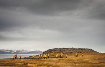 Svalbard in Summer: Tundra, Whales and Wildlife