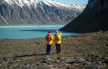 Svalbard in Summer: Tundra, Whales and Wildlife