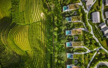 Signature Vietnam | In Fabric & Folklore
