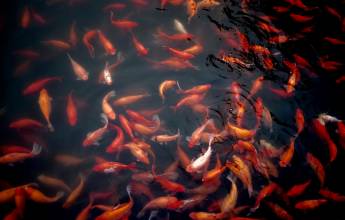 Signature China | Great Wall & Warriors