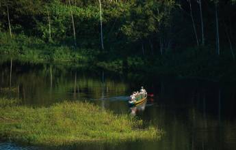 Amazon Add-on Tour – Napo Wildlife Center