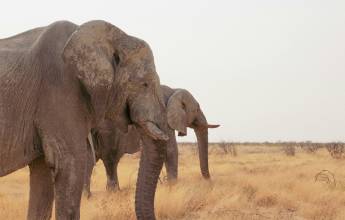 Discover Namibia – Premium Adventure
