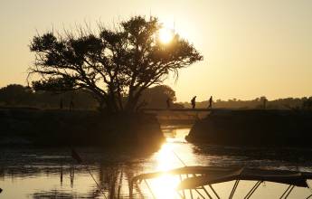 Moremi Game Reserve