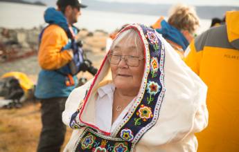 Canadian Arctic: Wildlife, Helicopters, & the Northwest Passage (Nuuk)