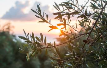 Hiking Portugal & Spain’s Historic Frontier