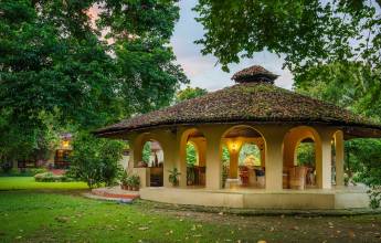 Green Mansion Jungle Resort