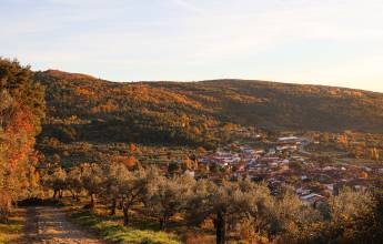 castañar san martin