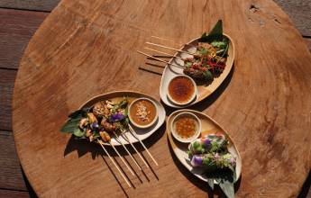 Begawan Biji