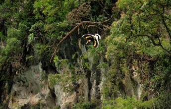 Signature Thailand | Karsts, Culture & Coast