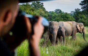 Yala National Park