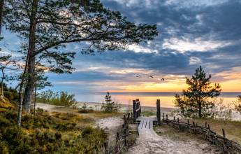 Discover the Baltics