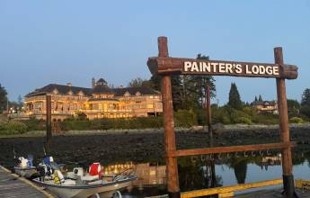 Whales & Bears of British Columbia