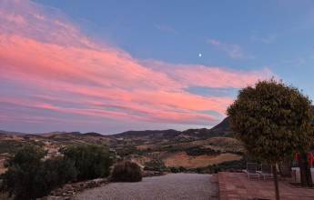 Walking in Andalucia