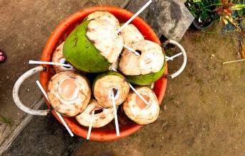 Kerala & the Tropical South