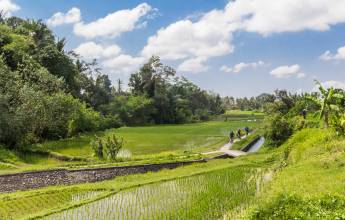Cycling Indonesia’s Islands