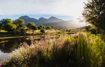 Cycling the Cape & Winelands