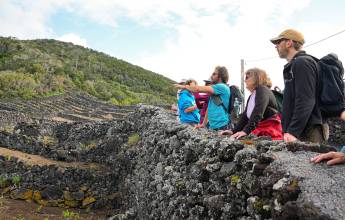 Walking in the Azores