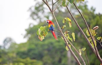 Costa Rica Coast to Coast Ride