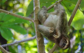 Costa Rica Coast to Coast Ride