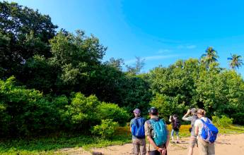 Borneo Wildlife Discoverer