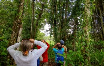 Borneo Wildlife Discoverer