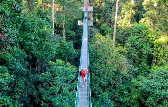 Borneo Wildlife Discoverer