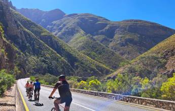 Cycling the Cape & Winelands
