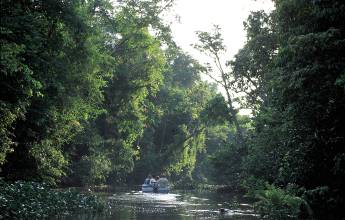 Borneo Wildlife Discoverer