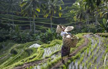 Cycling Indonesia’s Islands