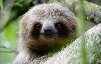 Costa Rica Adventure