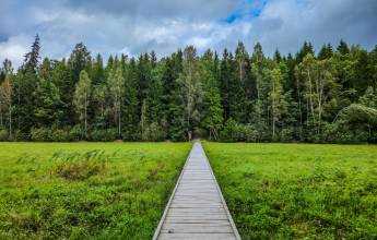 Walks of the Baltics and Finland