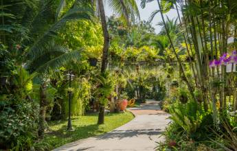 Thailand Family Adventure