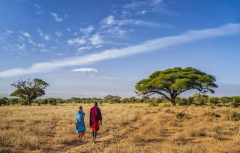 Kenya Safari Adventure