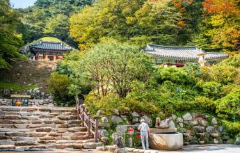 Discover South Korea