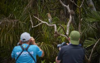 Discover Costa Rica – Coastal Edition